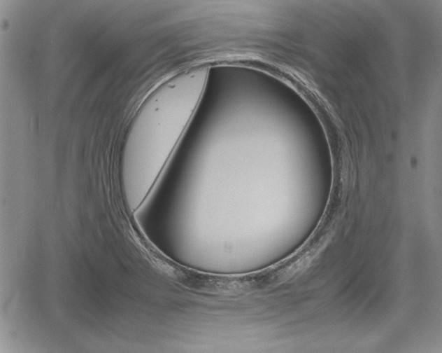 X0000062171273200512091042