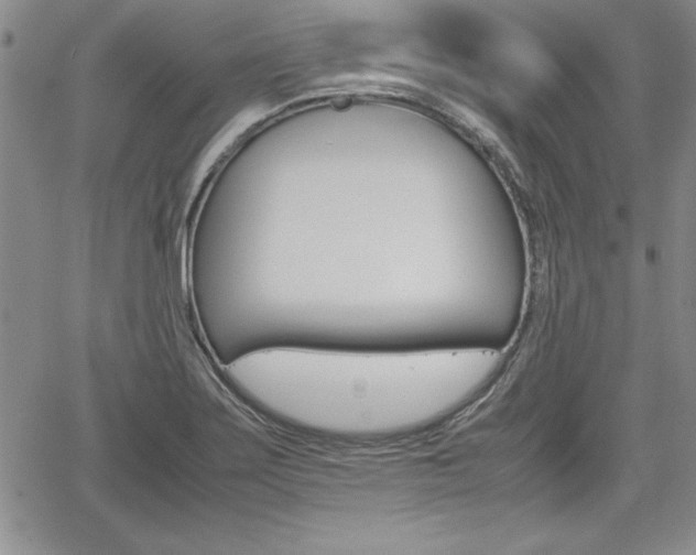 X0000062171275200512091042