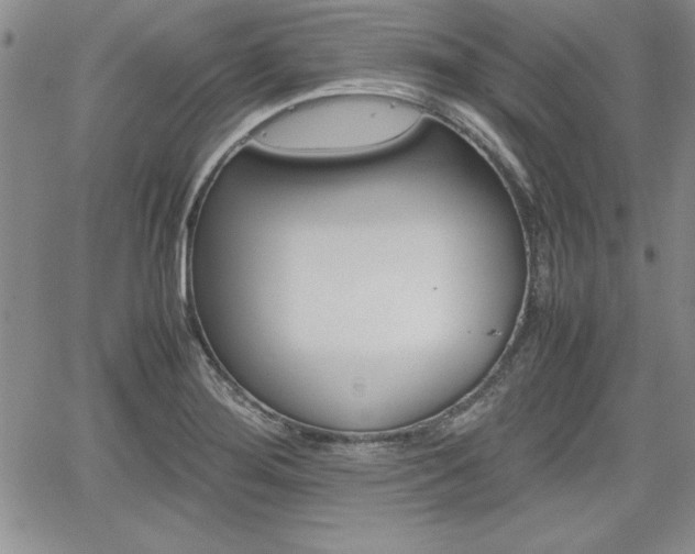 X0000062171276200512091042