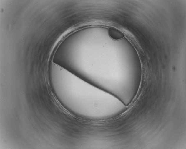 X0000062171280200512091042