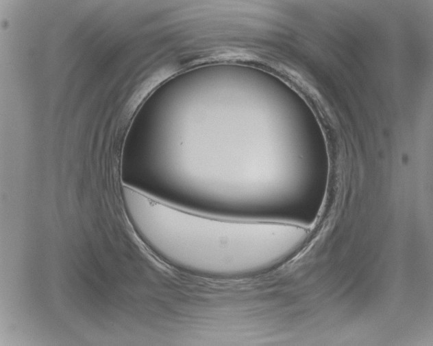 X0000062171281200512091042