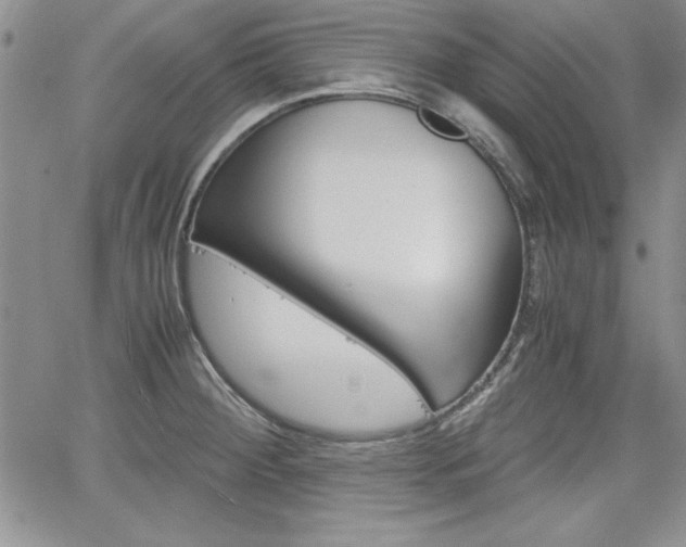 X0000062171284200512091042