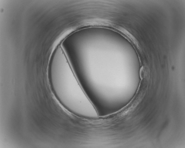 X0000062171285200512091042