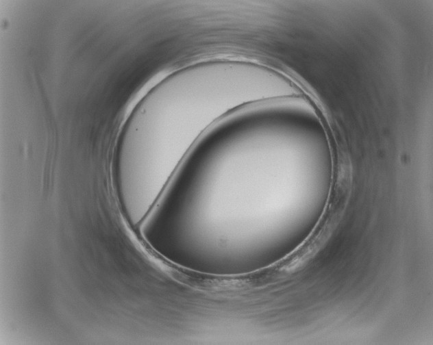 X0000062171293200512091041
