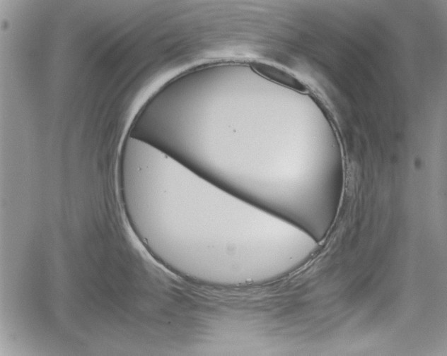 X0000062171295200512091041