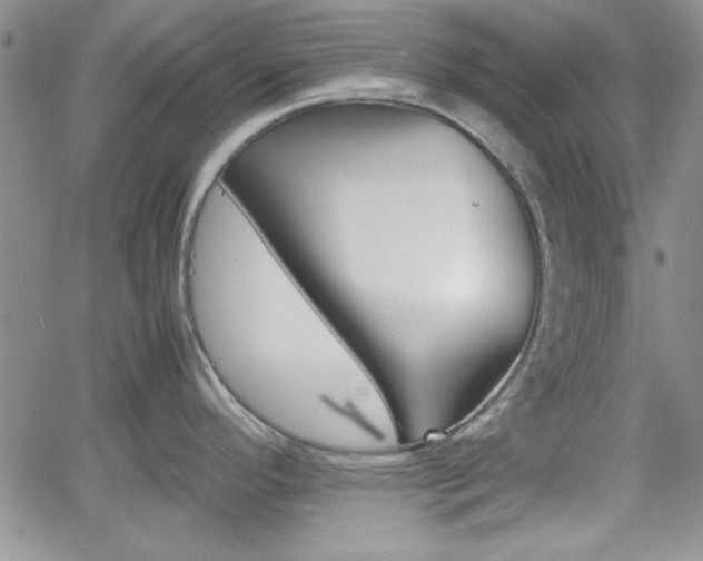 X0000062171296200512091041