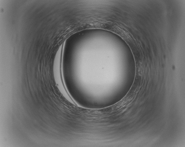 X0000062171298200512091041