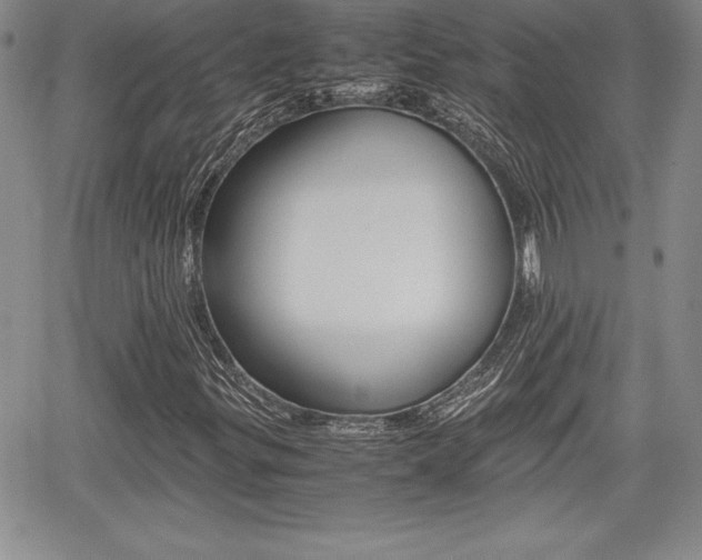 X0000062171299200512091041