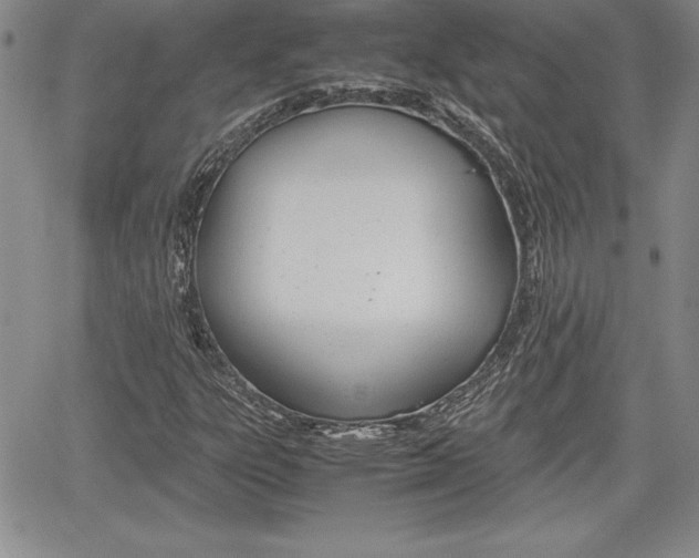 X0000062171303200512091041