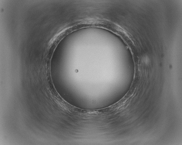 X0000062171304200512091041