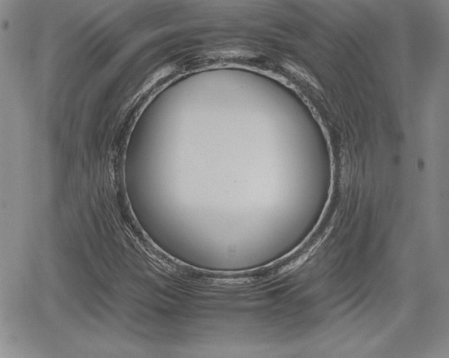 X0000062171305200512091041