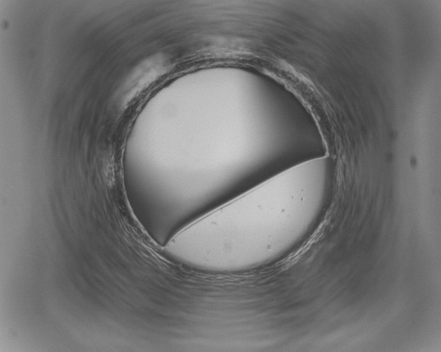 X0000062171306200512091041