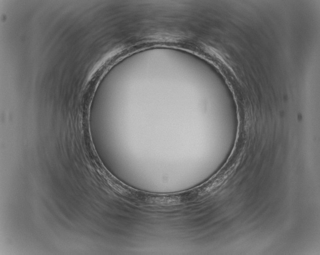 X0000062171307200512091041