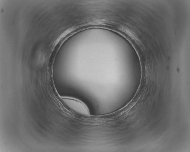 X0000062171308200512091041