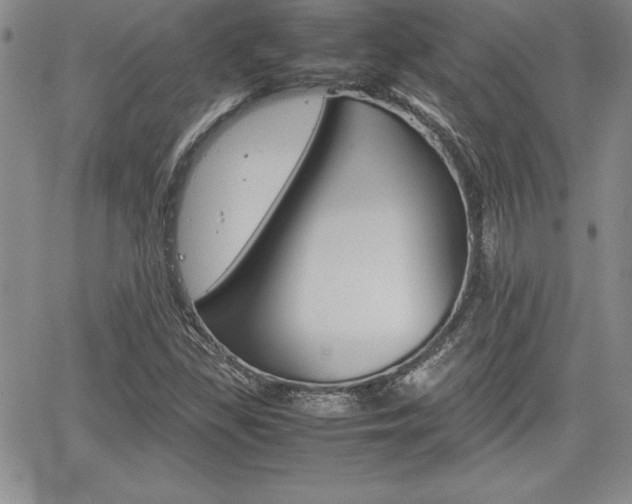 X0000062171309200512091041