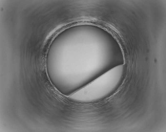 X0000062171310200512091041