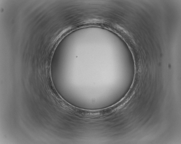 X0000062171313200512091041