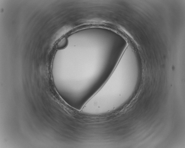 X0000062171315200512091041