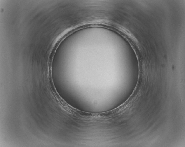 X0000062171316200512091041