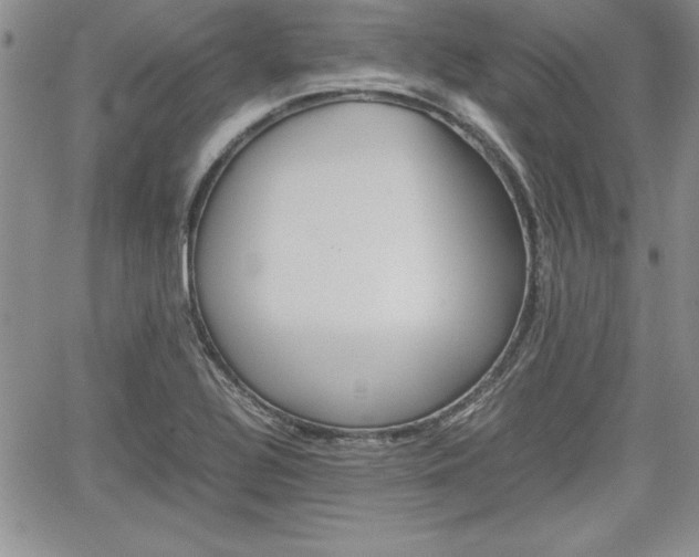 X0000062171320200512091041