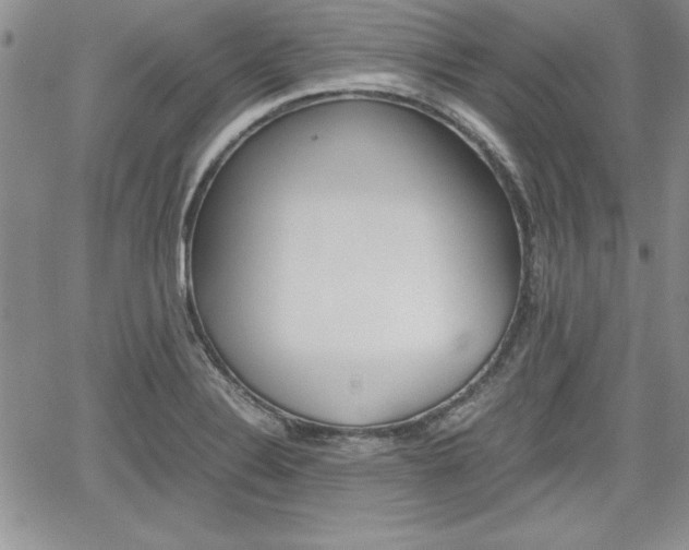 X0000062171324200512091041