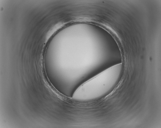 X0000062171325200512091041