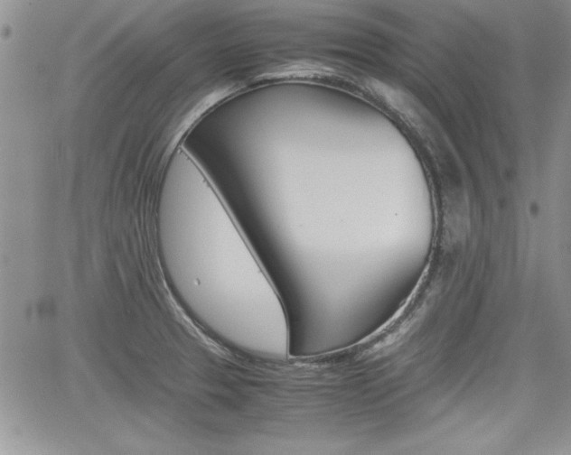 X0000062171329200512091041