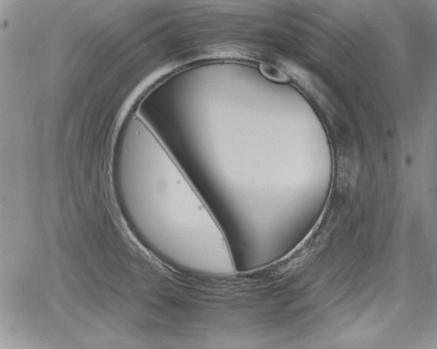 X0000062171331200512091041