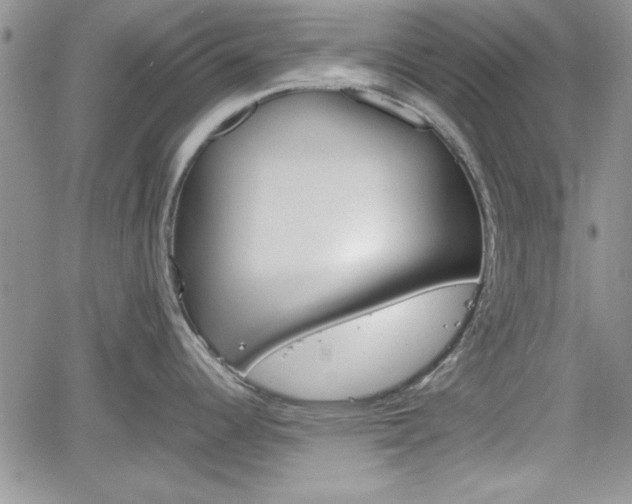 X0000062171344200512091041