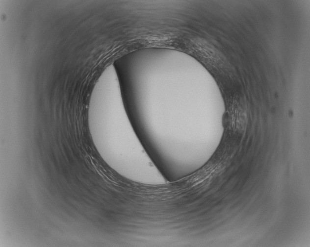 X0000062171346200512091041
