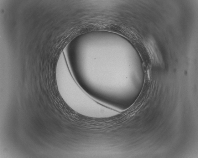 X0000062171347200512091041