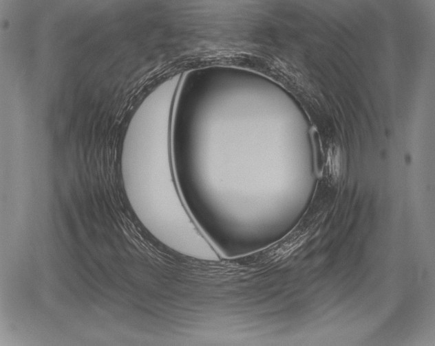 X0000062171348200512091041