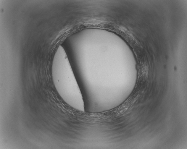 X0000062171350200512091040