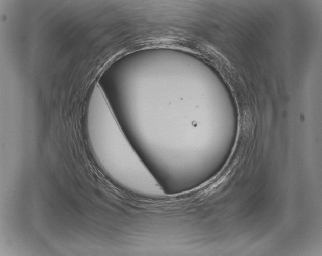 X0000062171353200512091040
