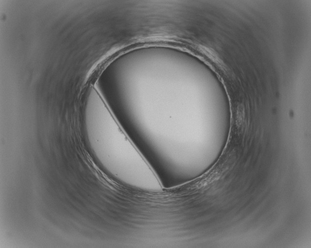 X0000062171356200512091040