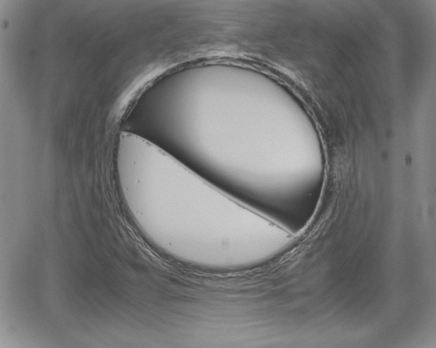 X0000062171359200512091040