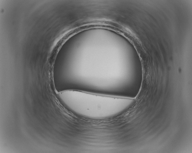 X0000062171360200512091040