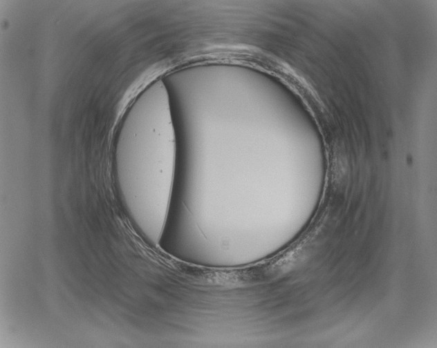 X0000062171362200512091040