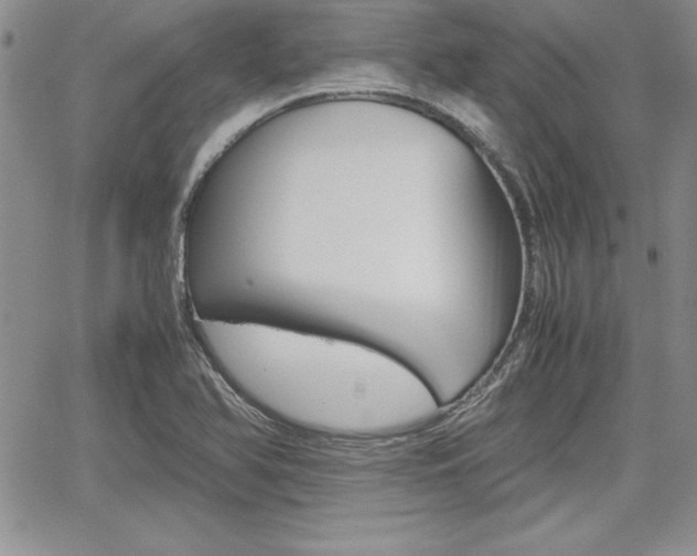 X0000062171366200512091040