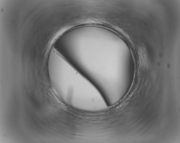 X0000062171367200512091040