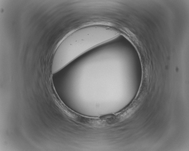X0000062171369200512091040