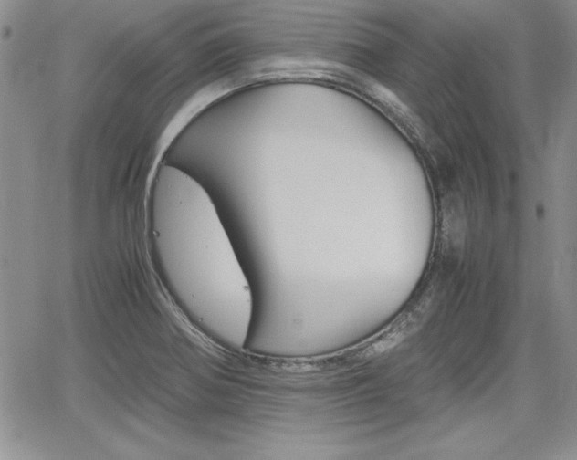 X0000062171370200512091040