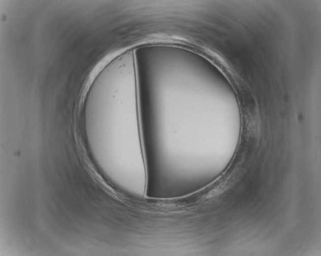 X0000062171371200512091040