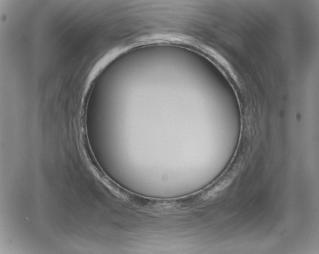X0000062171373200512091040