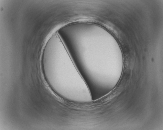 X0000062171375200512091040