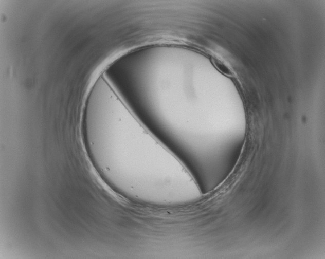 X0000062171379200512091040