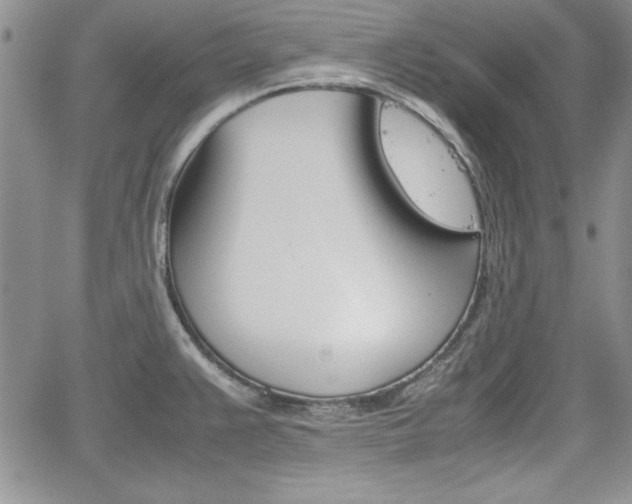 X0000062171383200512091040