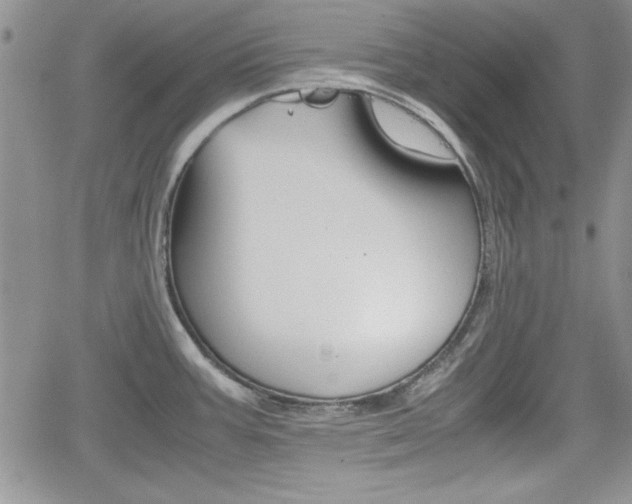X0000062171387200512091040