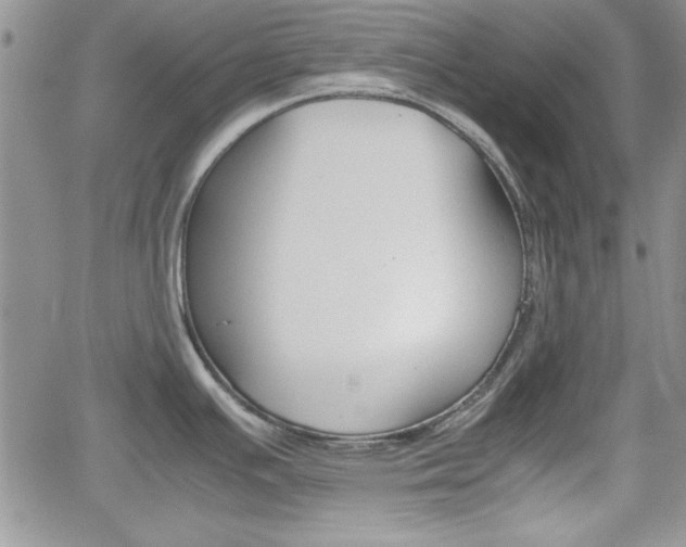 X0000062171391200512091040