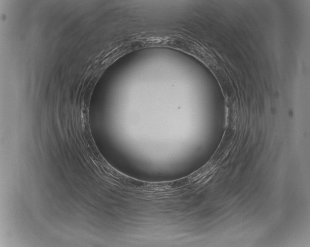 X0000062171394200512091039
